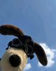 女孩相亲：思庆