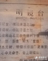 女孩：小乐 的征婚头像照片