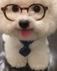 女孩相亲：uid:332251