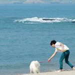 帅哥：aaaa597788 的征婚头像照片